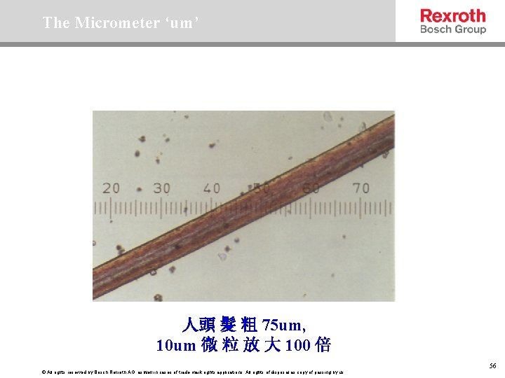 The Micrometer ‘um’ 人頭 髮 粗 75 um, 10 um 微 粒 放 大