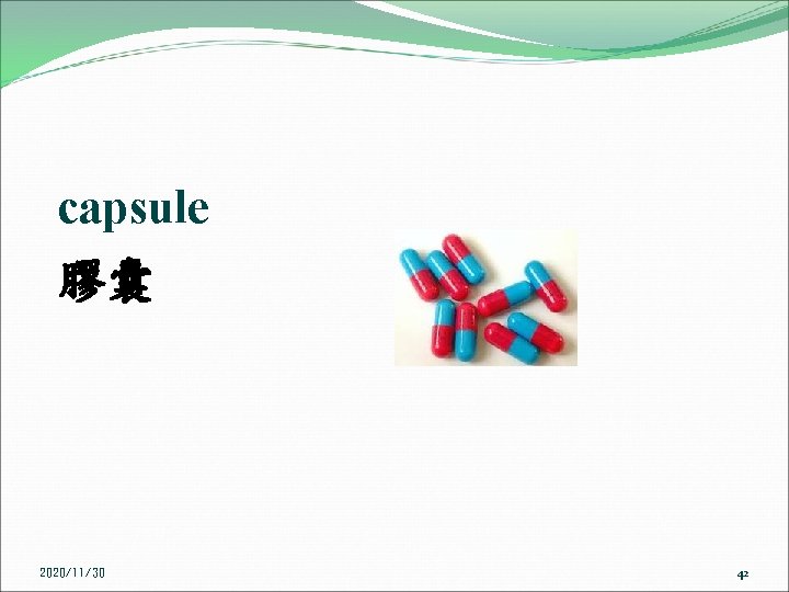 capsule 膠囊 2020/11/30 42 