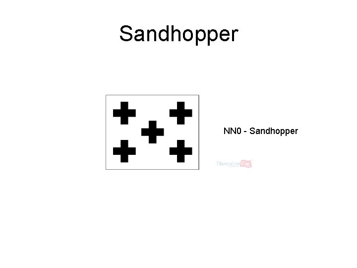 Sandhopper NN 0 - Sandhopper 