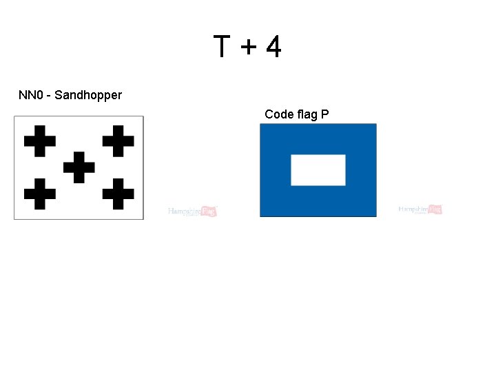 T+4 NN 0 - Sandhopper Code flag P 