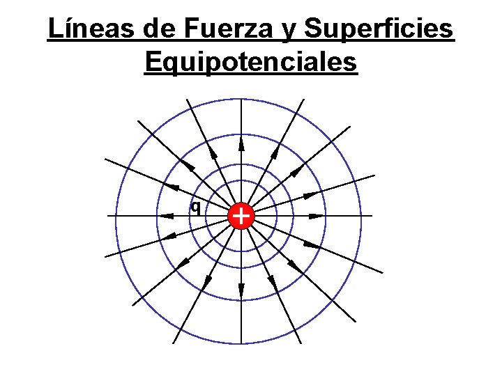 Líneas de Fuerza y Superficies Equipotenciales q 