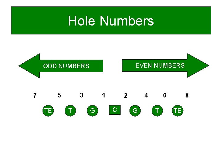 Hole Numbers EVEN NUMBERS ODD NUMBERS 5 7 TE 3 T 1 G 4