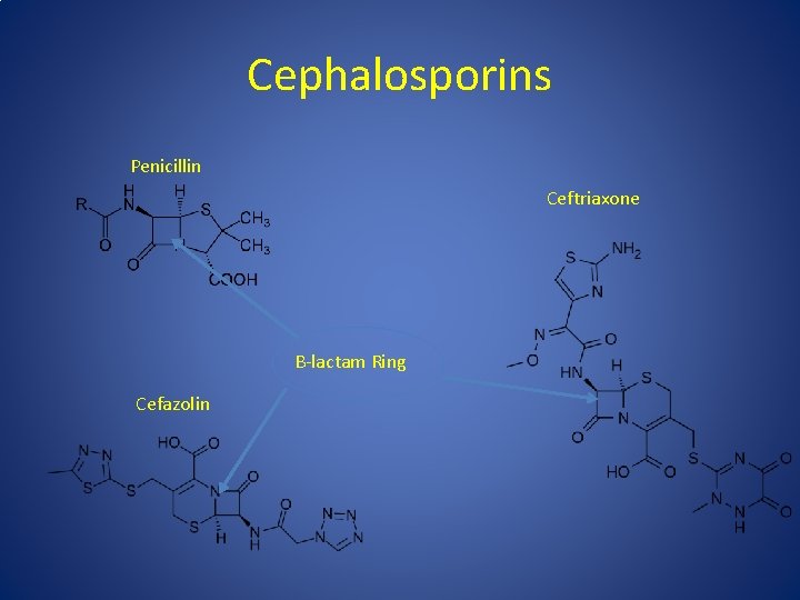 Cephalosporins Penicillin Ceftriaxone B-lactam Ring Cefazolin 