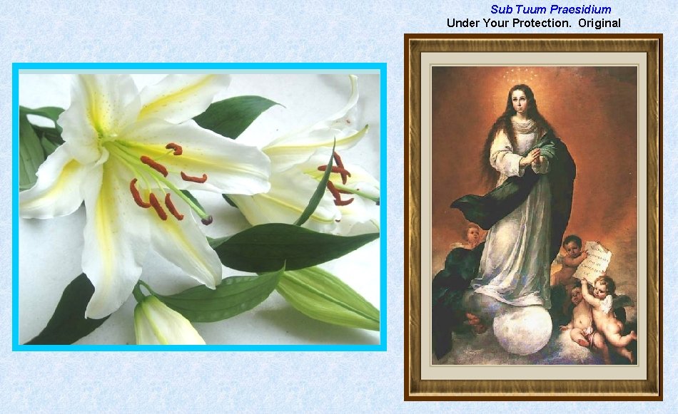  Sub Tuum Praesidium Under Your Protection. Original 