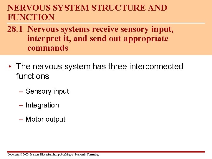 NERVOUS SYSTEM STRUCTURE AND FUNCTION 28. 1 Nervous systems receive sensory input, interpret it,