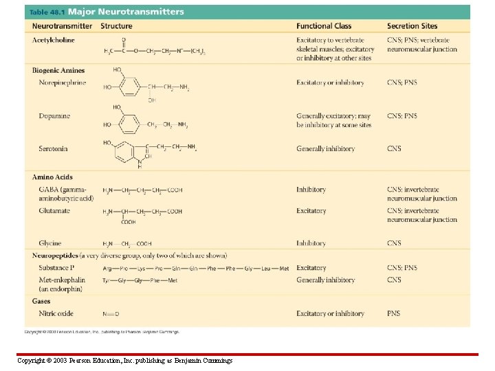 Copyright © 2003 Pearson Education, Inc. publishing as Benjamin Cummings 