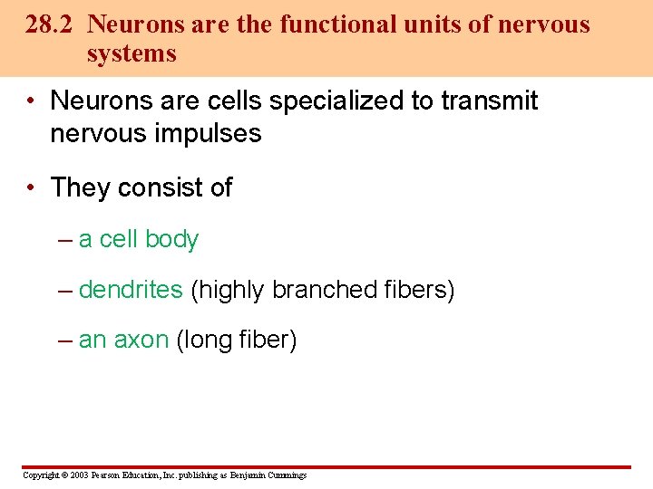 28. 2 Neurons are the functional units of nervous systems • Neurons are cells