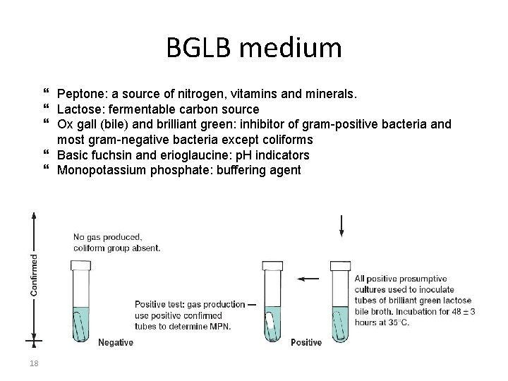 BGLB medium Peptone: a source of nitrogen, vitamins and minerals. Lactose: fermentable carbon source BGLB medium Peptone: a source of nitrogen, vitamins and minerals. Lactose: fermentable carbon source