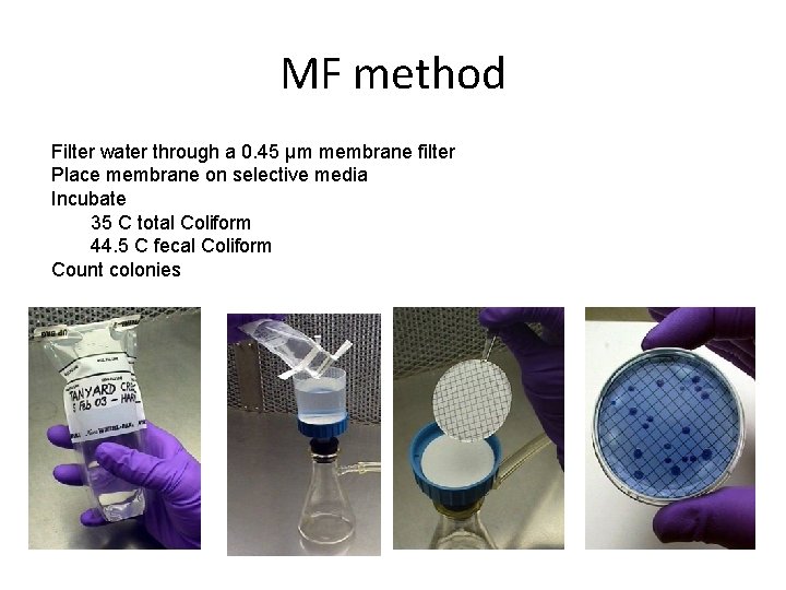 MF method Filter water through a 0. 45 μm membrane filter Place membrane on MF method Filter water through a 0. 45 μm membrane filter Place membrane on