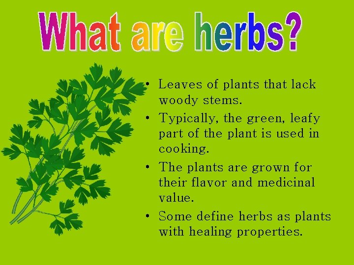  • Leaves of plants that lack woody stems. • Typically, the green, leafy