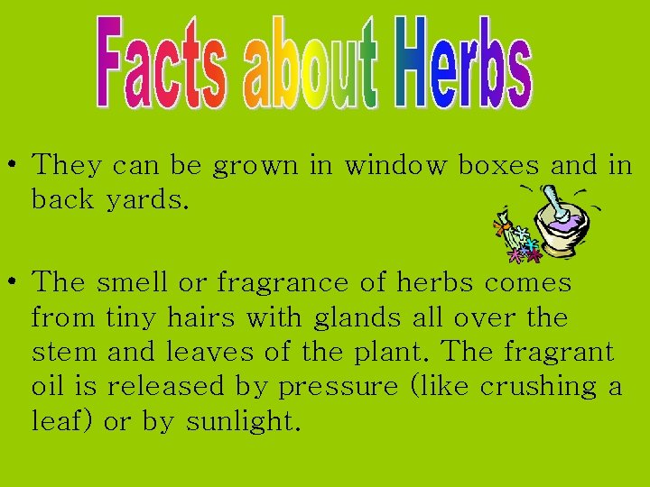  • They can be grown in window boxes and in back yards. •