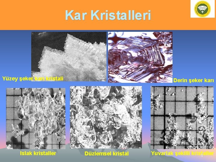 Kar Kristalleri Yüzey şeker karı kristali Islak kristaller Derin şeker karı Düzlemsel kristal Yuvarlak