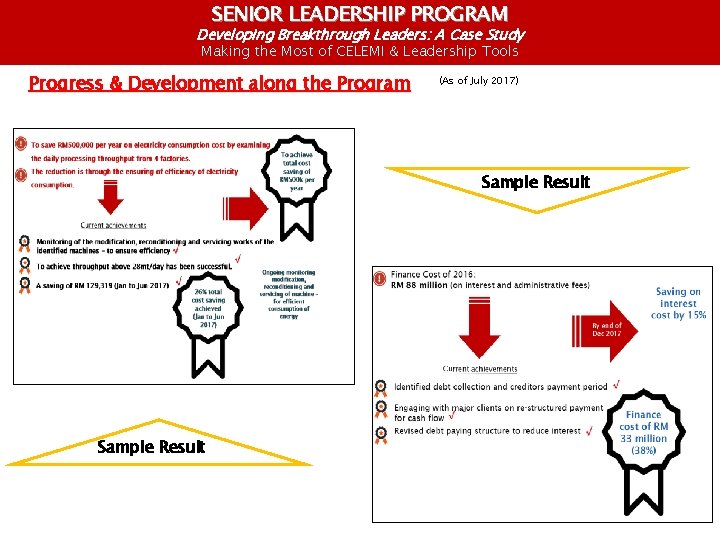 SENIOR LEADERSHIP PROGRAM Developing Breakthrough Leaders: A Case Study Making the Most of CELEMI