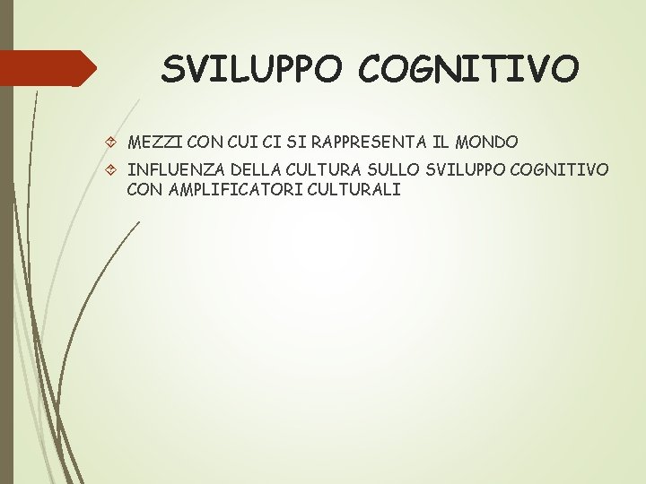 SVILUPPO COGNITIVO MEZZI CON CUI CI SI RAPPRESENTA IL MONDO INFLUENZA DELLA CULTURA SULLO