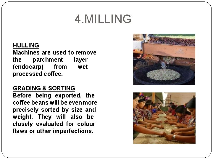 4. MILLING HULLING Machines are used to remove the parchment layer (endocarp) from wet