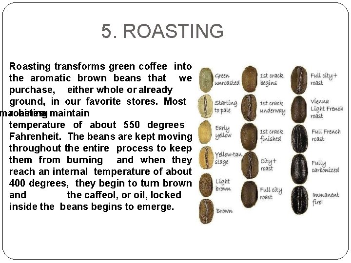 5. ROASTING Roasting transforms green coffee into the aromatic brown beans that we purchase,