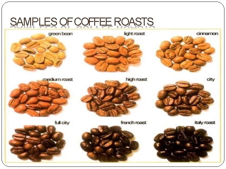 SAMPLES OF COFFEE ROASTS 