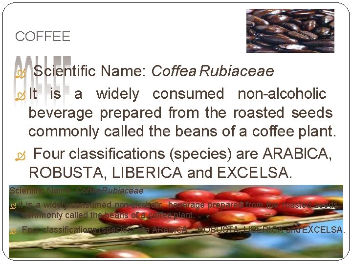 COFFEE Scientific Name: Coffea Rubiaceae It is a widely consumed non-alcoholic beverage prepared from