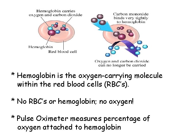 * Hemoglobin is the oxygen-carrying molecule within the red blood cells (RBC’s). * No