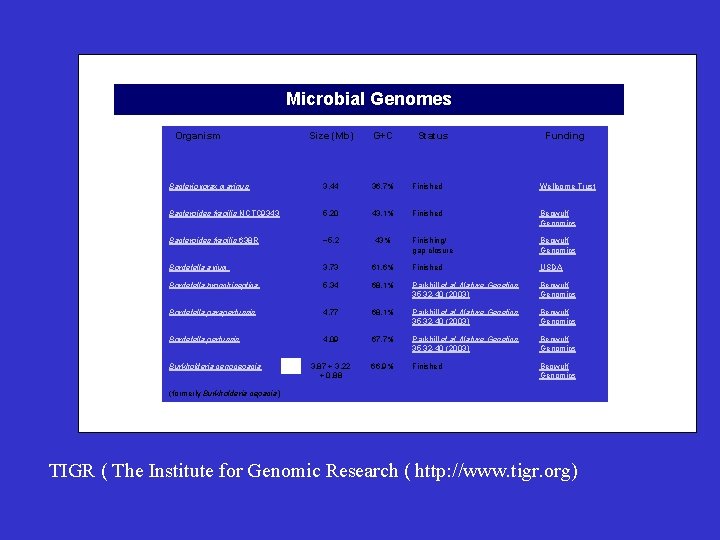 Microbial Genomes Organism Size (Mb) G+C Status Funding Bacteroides fragilis NCTC 9343 5. 20