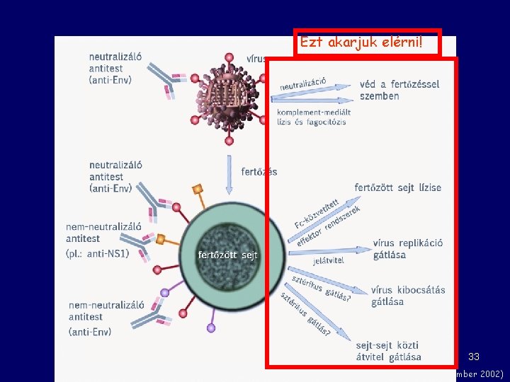 Ezt akarjuk elérni! 33 Nature Reviews Immunology 2, 706 -713 (September 2002) 