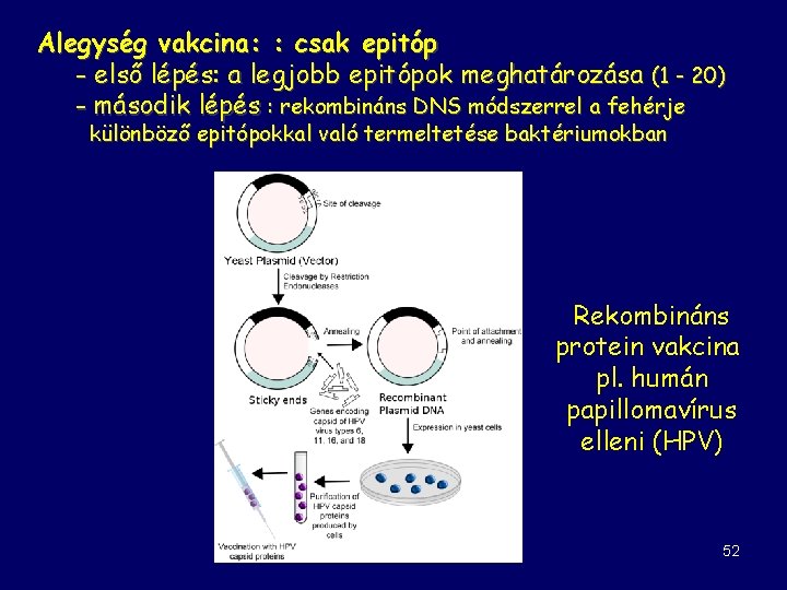 Alegység vakcina: : csak epitóp - első lépés: a legjobb epitópok meghatározása (1 -