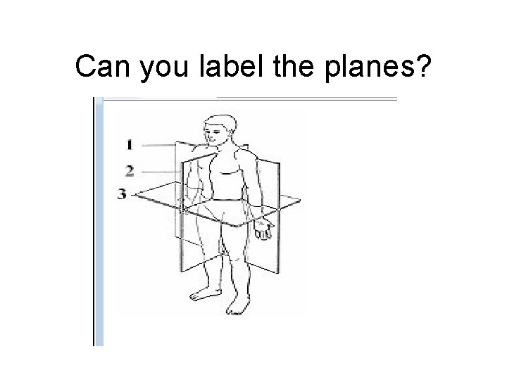 Can you label the planes? 
