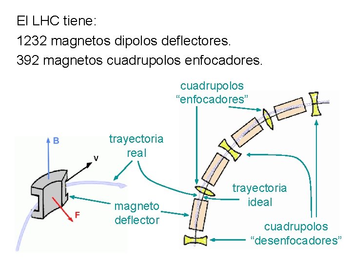 El LHC tiene: 1232 magnetos dipolos deflectores. 392 magnetos cuadrupolos enfocadores. cuadrupolos “enfocadores” trayectoria