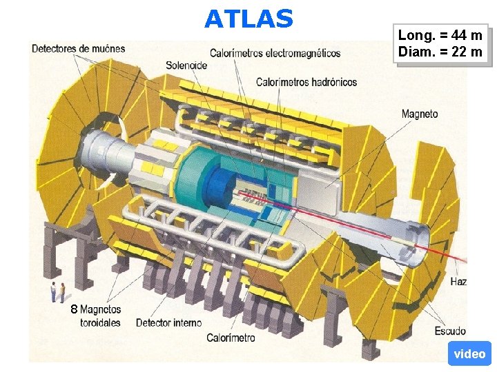 ATLAS Long. = 44 m Diam. = 22 m 8 30 video 