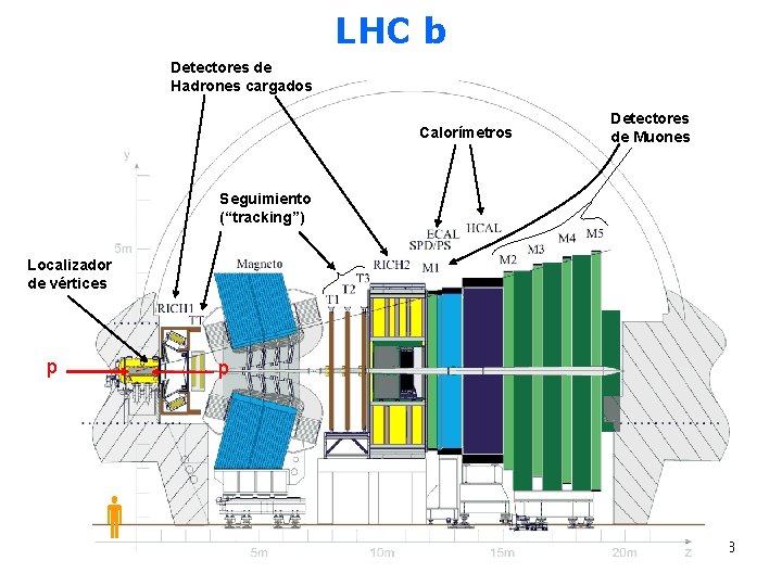 LHC b Detectores de Hadrones cargados Calorímetros Detectores de Muones Seguimiento (“tracking”) Localizador de