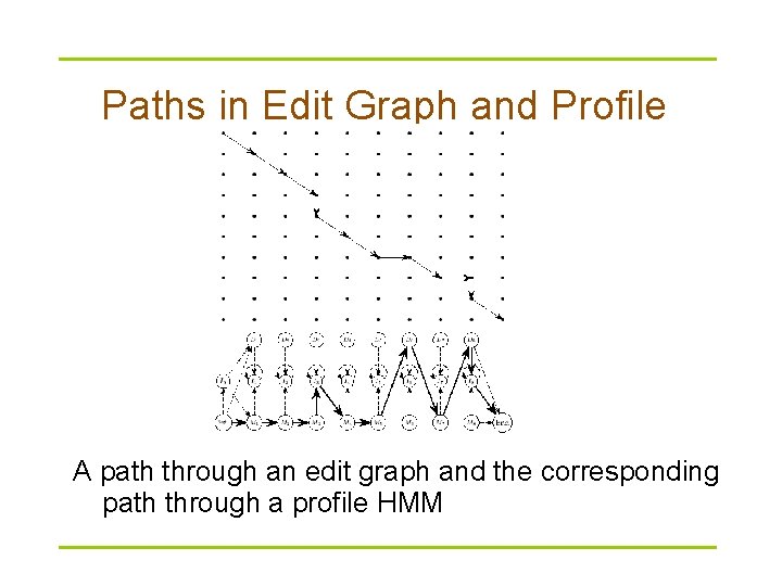 Paths in Edit Graph and Profile HMM A path through an edit graph and