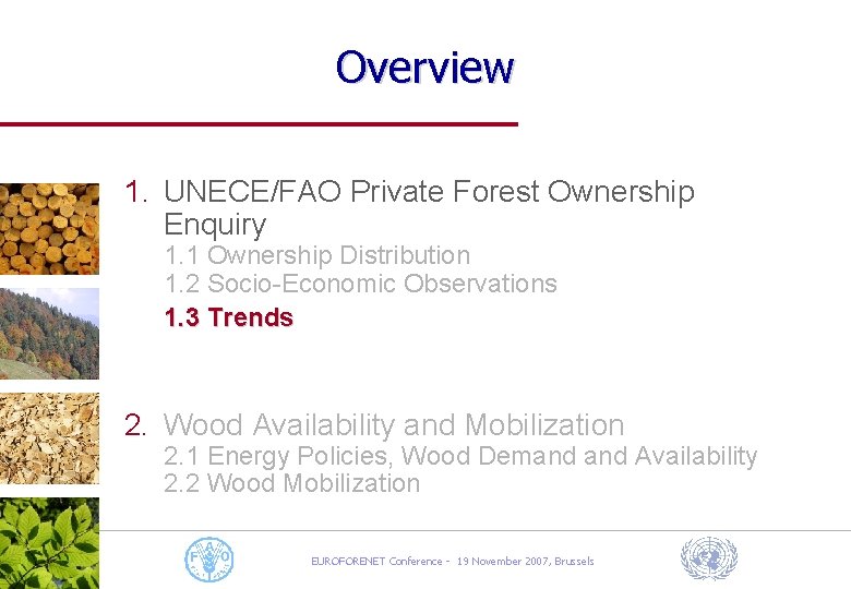 Overview 1. UNECE/FAO Private Forest Ownership Enquiry 1. 1 Ownership Distribution 1. 2 Socio-Economic