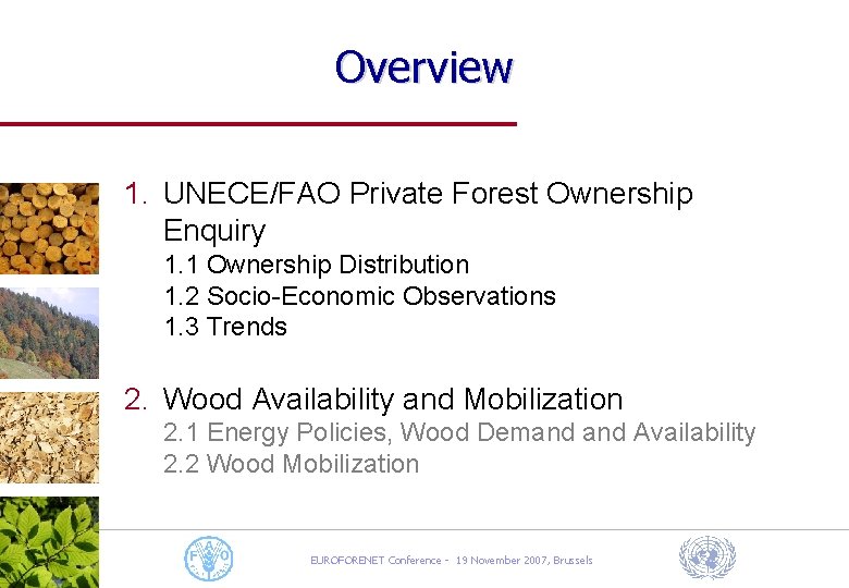 Overview 1. UNECE/FAO Private Forest Ownership Enquiry 1. 1 Ownership Distribution 1. 2 Socio-Economic