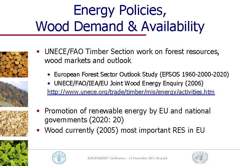 Energy Policies, Wood Demand & Availability § UNECE/FAO Timber Section work on forest resources,