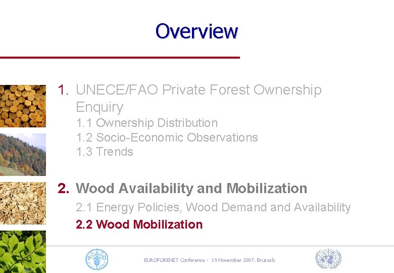 Overview 1. UNECE/FAO Private Forest Ownership Enquiry 1. 1 Ownership Distribution 1. 2 Socio-Economic
