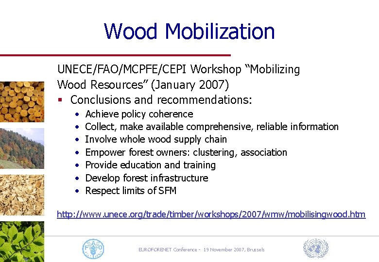 Wood Mobilization UNECE/FAO/MCPFE/CEPI Workshop “Mobilizing Wood Resources” (January 2007) § Conclusions and recommendations: •