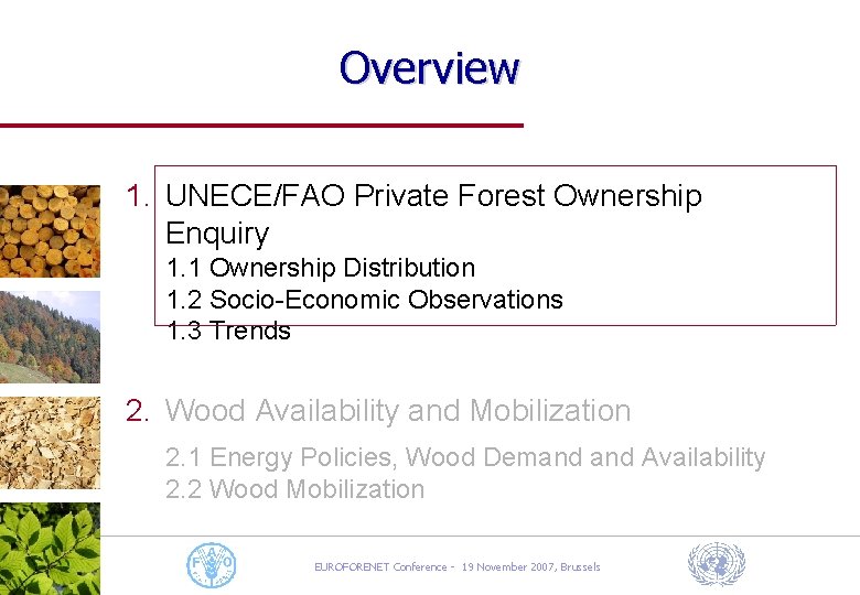 Overview 1. UNECE/FAO Private Forest Ownership Enquiry 1. 1 Ownership Distribution 1. 2 Socio-Economic