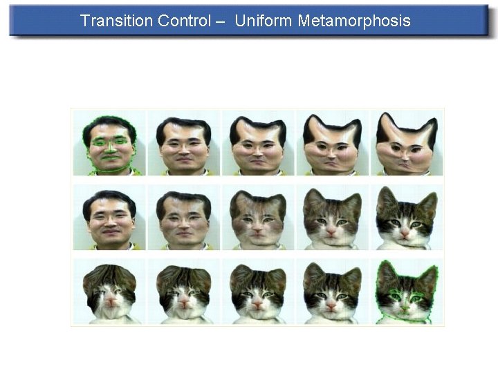 Transition Control – Uniform Metamorphosis Transition Control – Uniform Metamorphosis