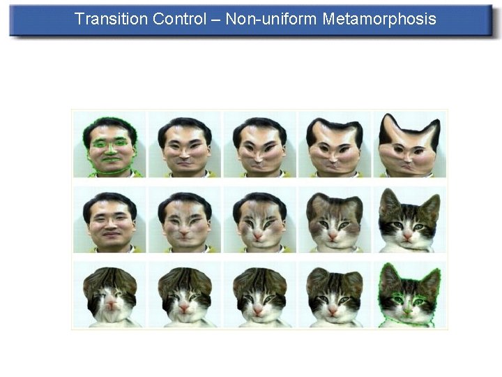 Transition Control – Non-uniform Metamorphosis 