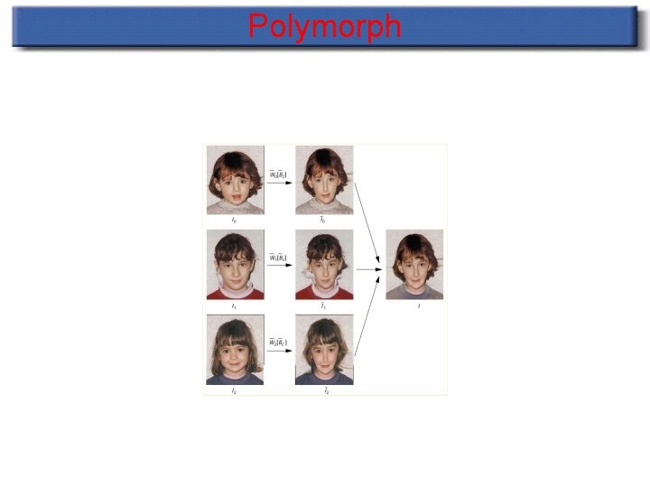 Polymorph Polymorph