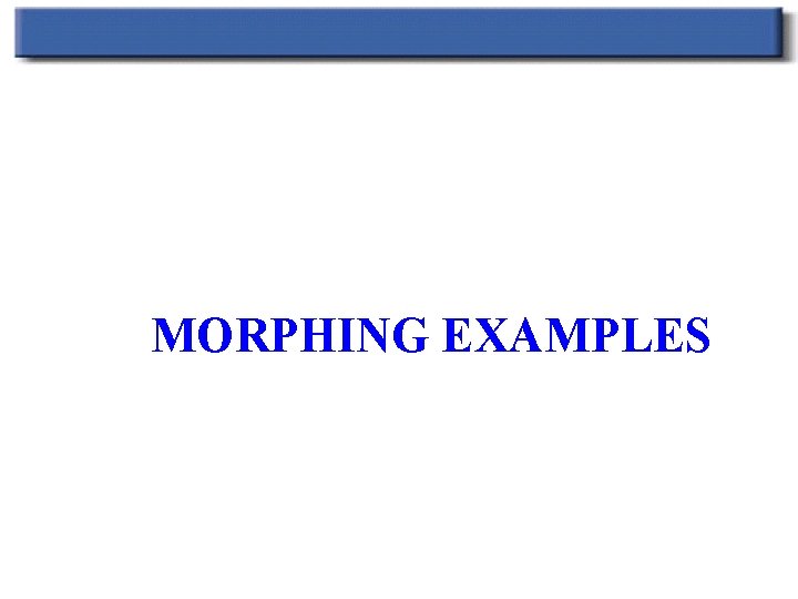 MORPHING EXAMPLES 
