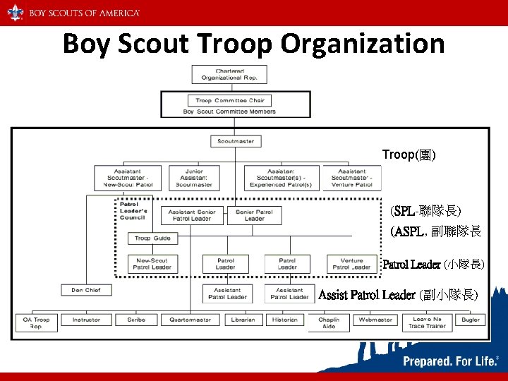 Boy Scout Troop Organization Troop(團) (SPL-聯隊長) (ASPL, 副聯隊長 Patrol Leader (小隊長) Assist Patrol Leader