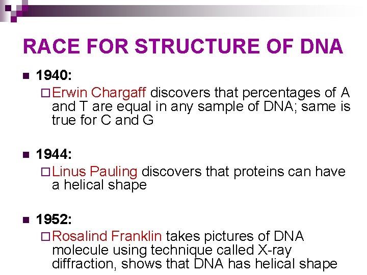 RACE FOR STRUCTURE OF DNA n 1940: ¨ Erwin Chargaff discovers that percentages of