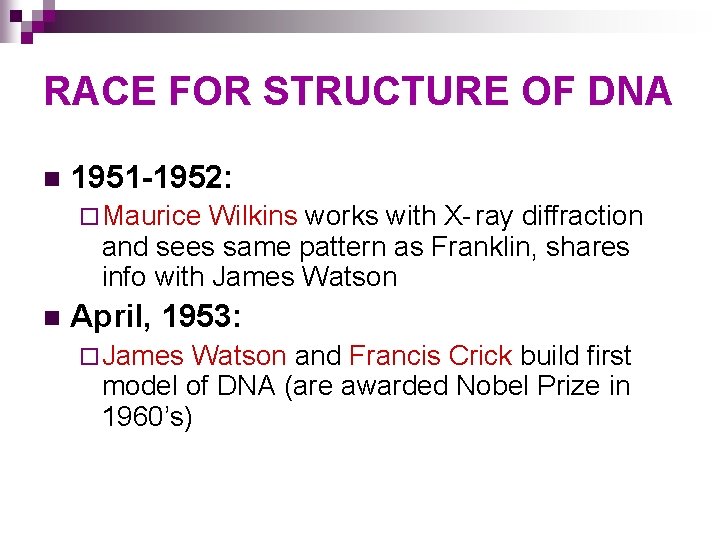 RACE FOR STRUCTURE OF DNA n 1951 -1952: ¨ Maurice Wilkins works with X-