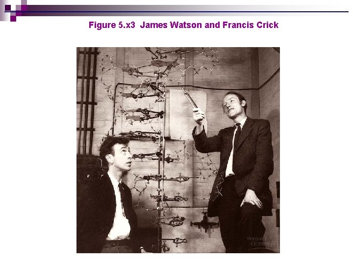 Figure 5. x 3 James Watson and Francis Crick 