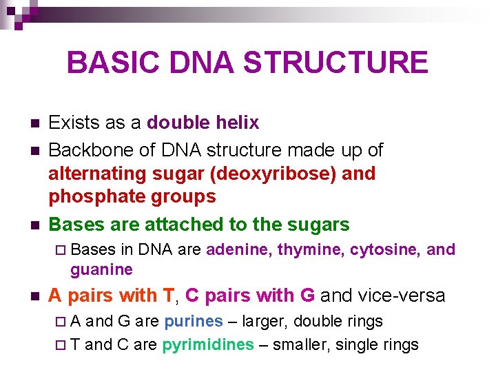 BASIC DNA STRUCTURE n n n Exists as a double helix Backbone of DNA