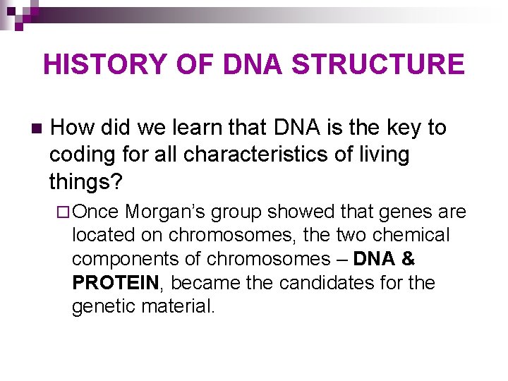 HISTORY OF DNA STRUCTURE n How did we learn that DNA is the key