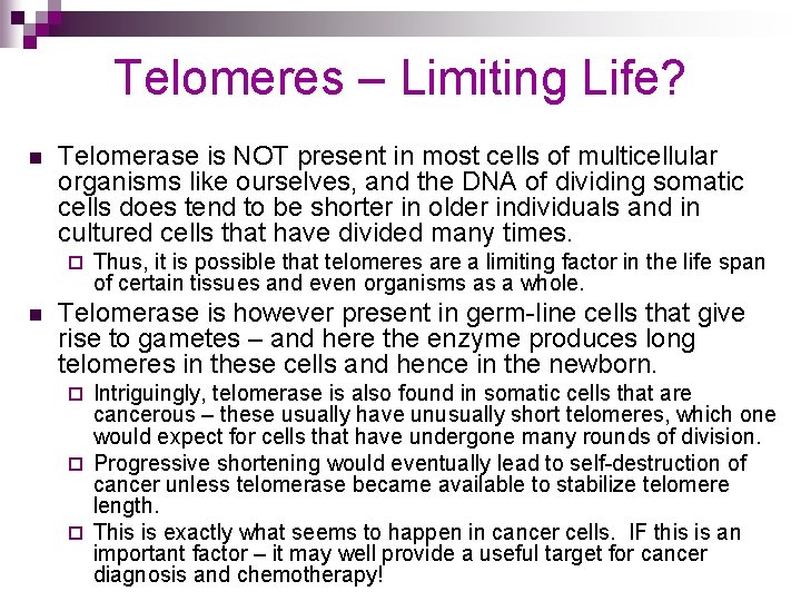 Telomeres – Limiting Life? n Telomerase is NOT present in most cells of multicellular