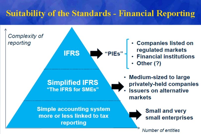 Suitability of the Standards - Financial Reporting 