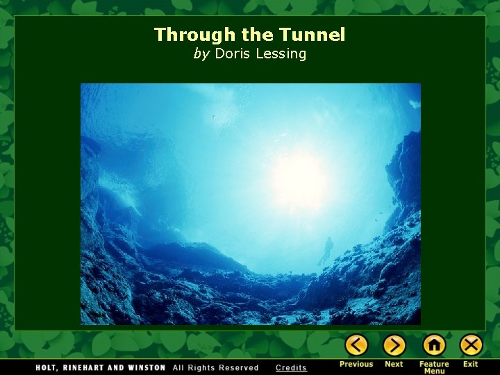 Through the Tunnel by Doris Lessing 